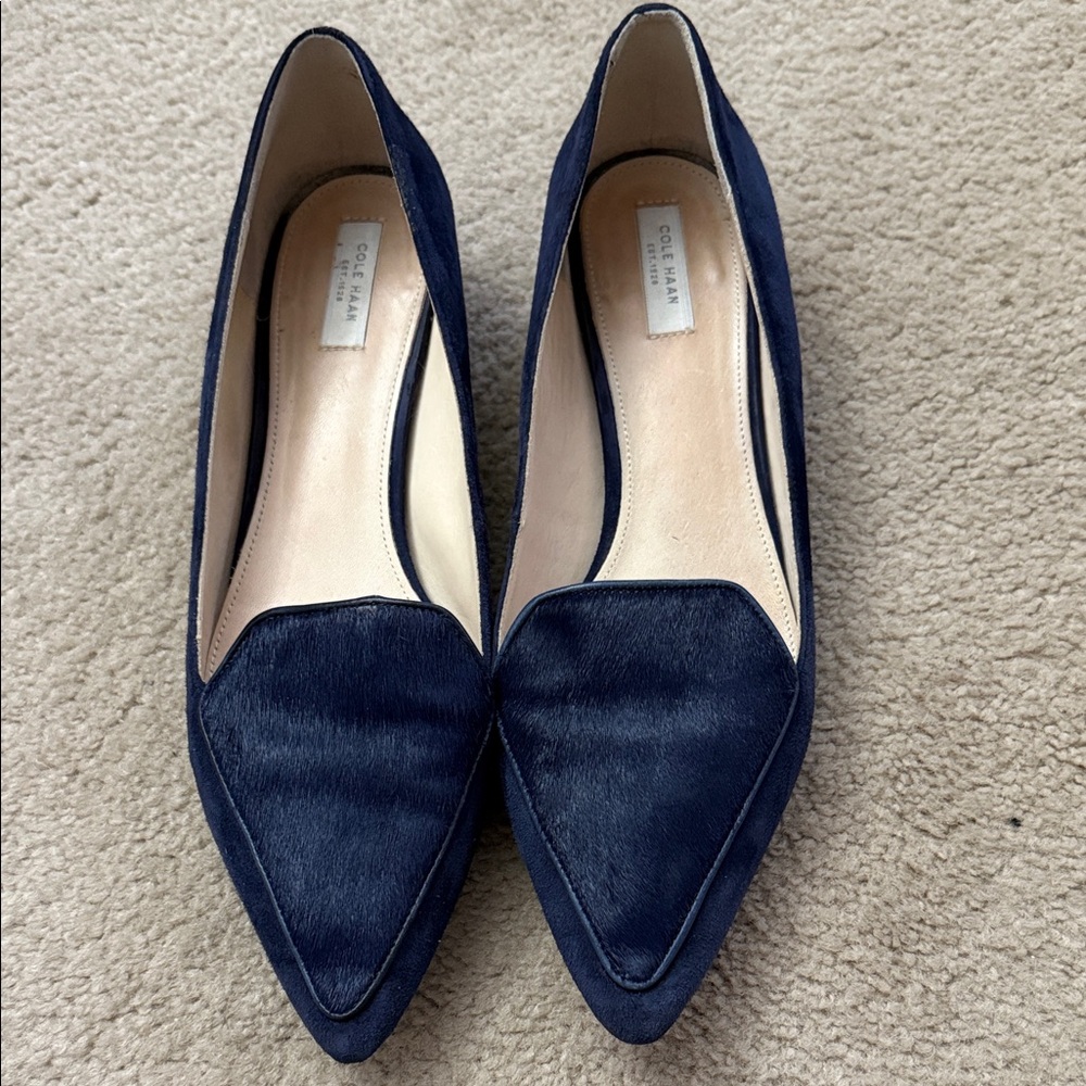 Cole Haan Dark Blue Pointed Flats